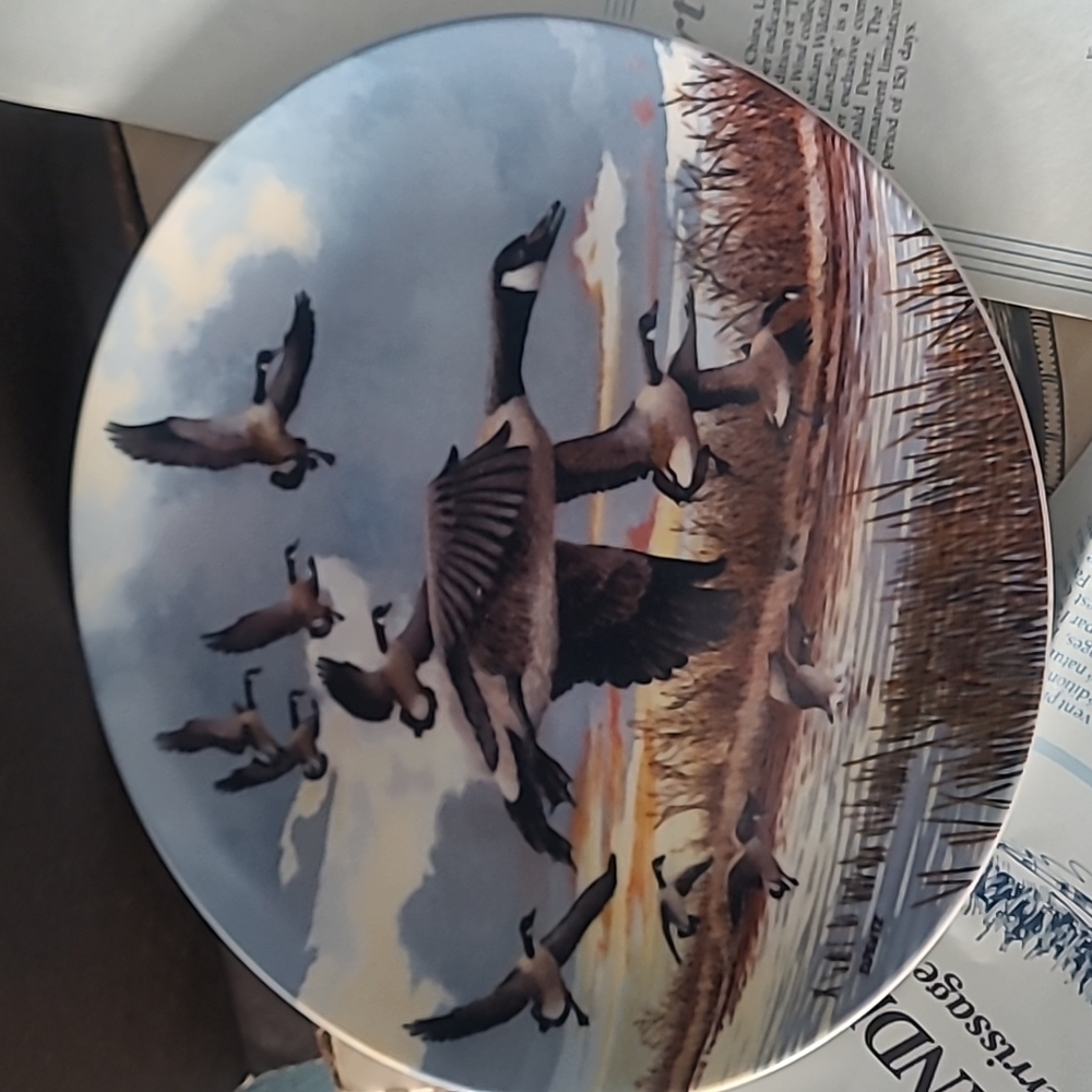Bradford Exchange Old Dominion "The Landing" Collectors Plate, Vintage